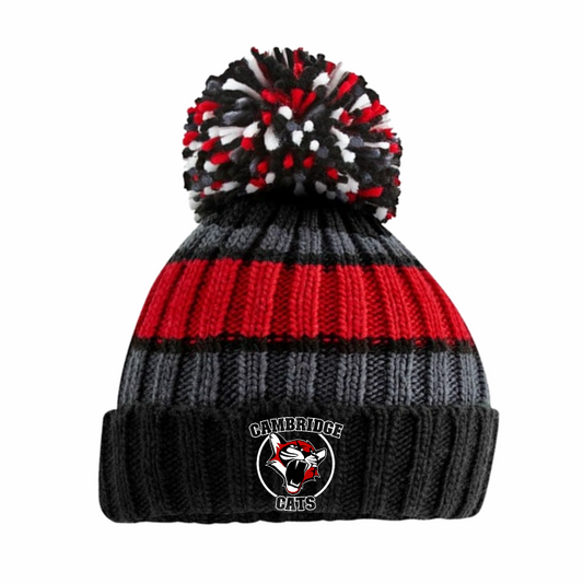 Striped Beanie